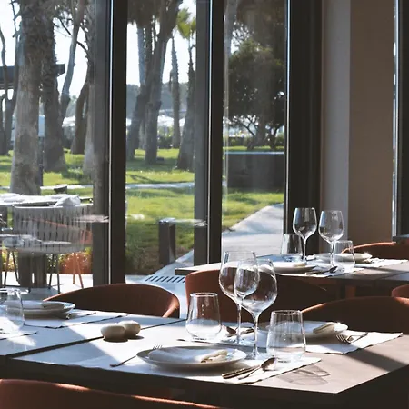 Paloma Finesse 5*